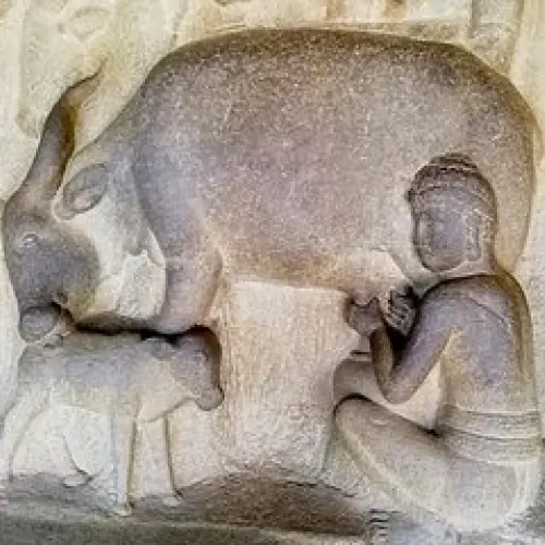 valv